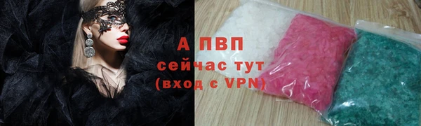 PSILOCYBIN Кукмор