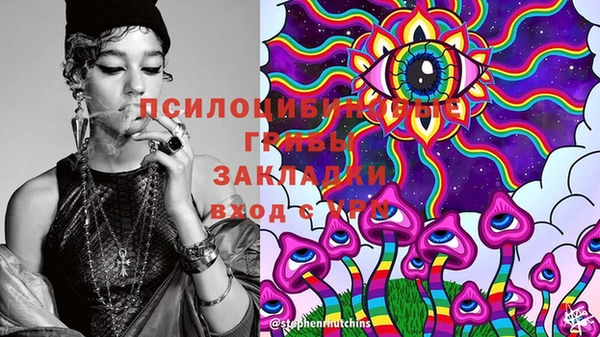 мдпв Лабытнанги