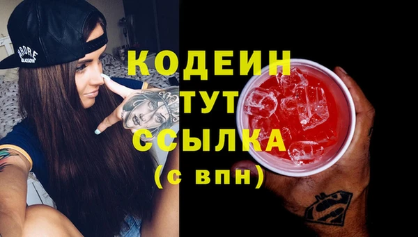 мдпв Лабытнанги