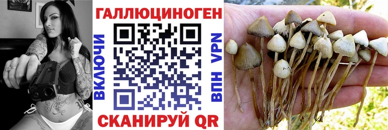 kraken ССЫЛКА  Усть-Джегута  Псилоцибиновые грибы прущие грибы 