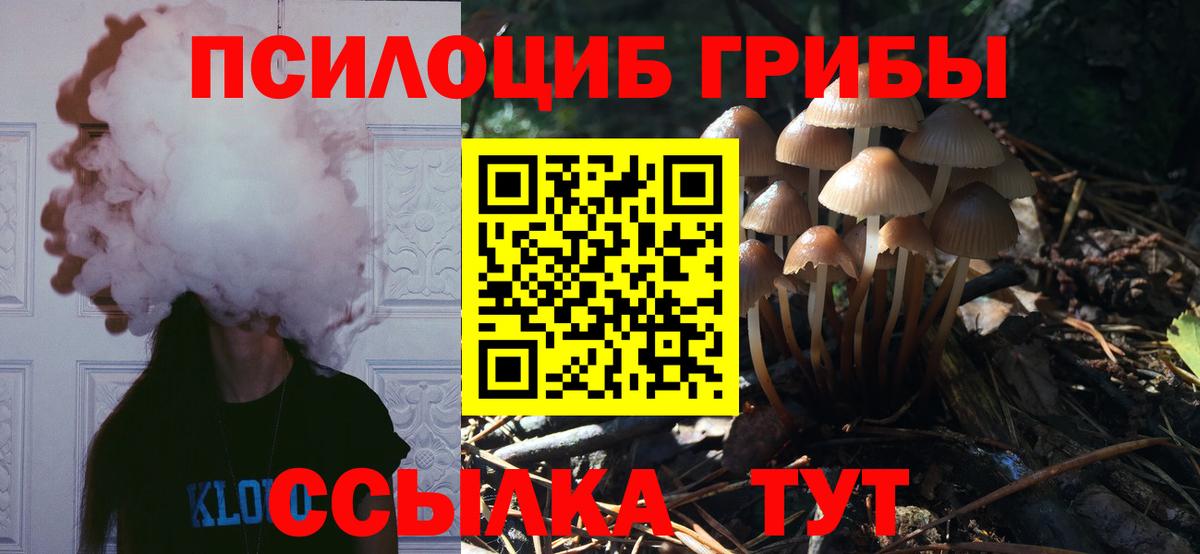 Усть-Джегута  Галлюциногенные грибы мицелий  Вход с VPN 