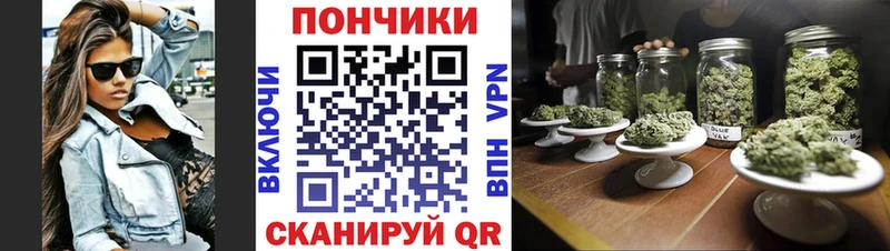 Каннабис семена  наркотики  Усть-Джегута 